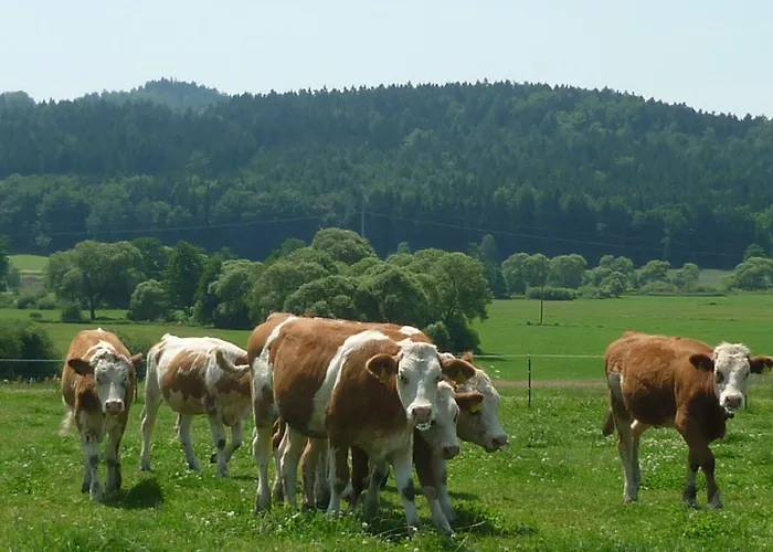Grosseiberhof