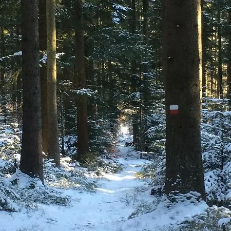 Großeiberhof 3* Waldmünchen