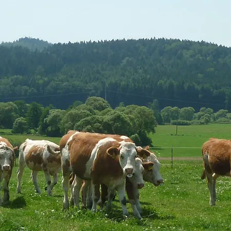 Grosseiberhof