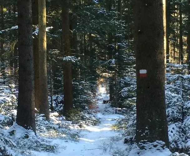 Grosseiberhof 3* Waldmünchen